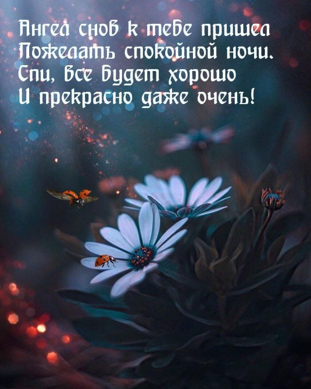 ������� ��� ��������� ����