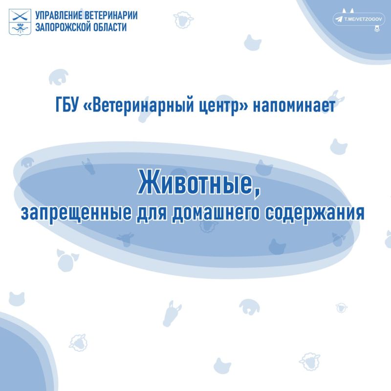 ��� ������������� ����� ����������, ��� � ����������� ������� ��������� ������������� ������������� ���������� ��������� ��� ����������� ������� ��������, ����������� � �����������