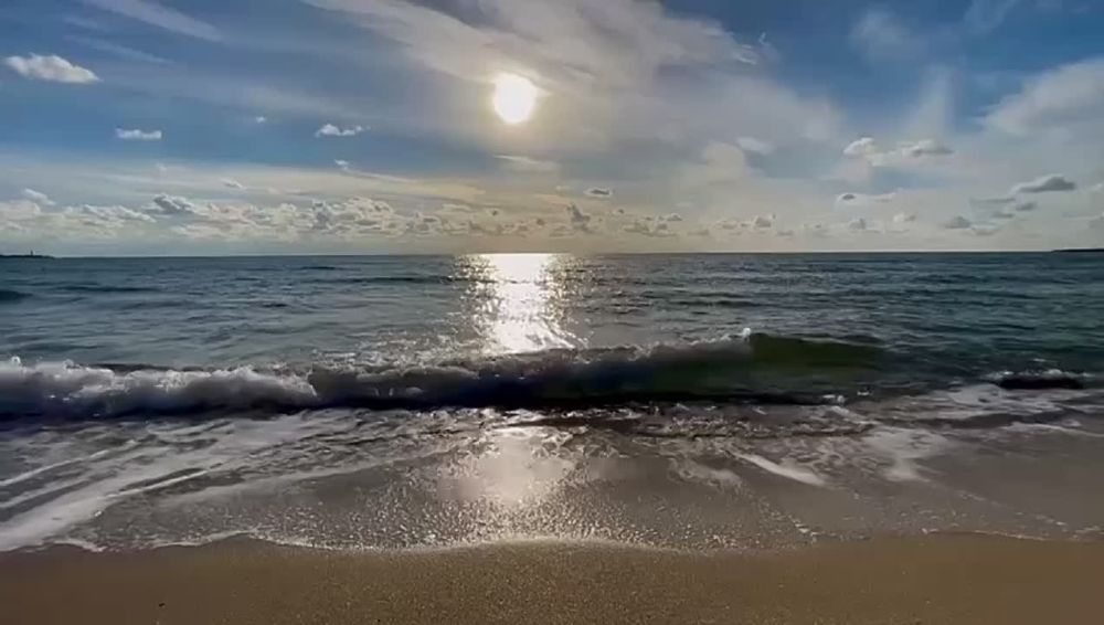���� �������, ��� �����������, ���������� ��������� �� ���� ����