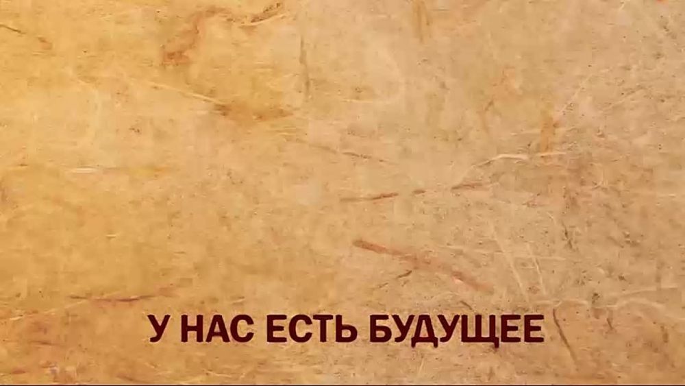 � ���������� 80-� ��������� ������������ ���������� �� �������-���������� ����������� �� ���������� ���� ������������ �� ������������� �������� Z���������� �������