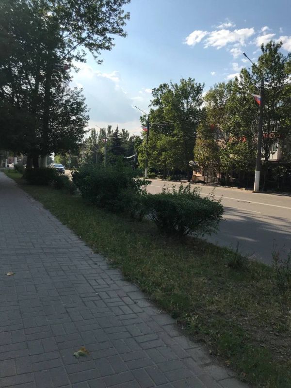 � ���������� ����������� �����������