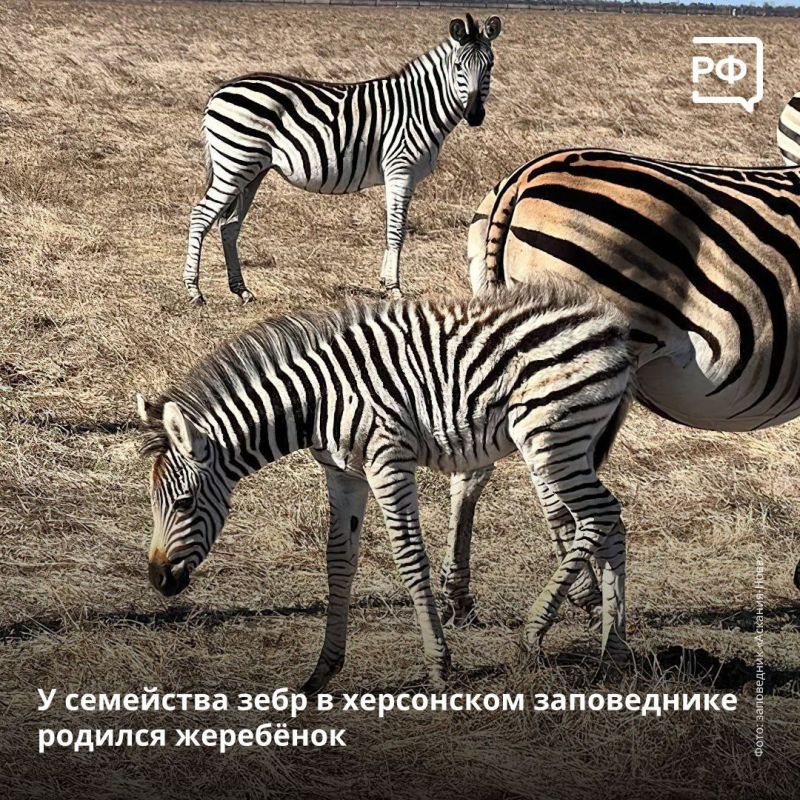 � ����������� ��������-���� ���������� � �� ���� �������� ��������� ��������