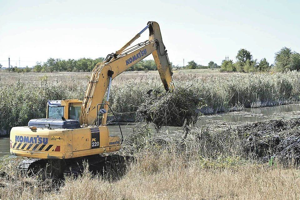 ����� ���� ���� ������: ����������� ������� �������� ����� ������������ �������