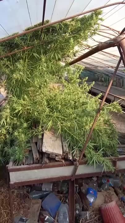 � ����������� ������� �������� ���������� ������ ������������� �������