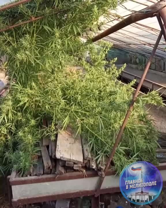 ������ �������� ��������� ������� � �������