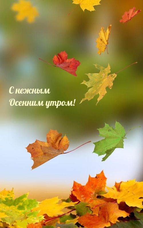 ������ ����. ����������� � ������ ��� ���������