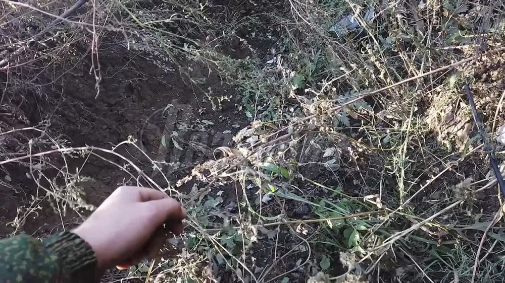 �������� Readovka � �������, �������������� ������ ������� �����