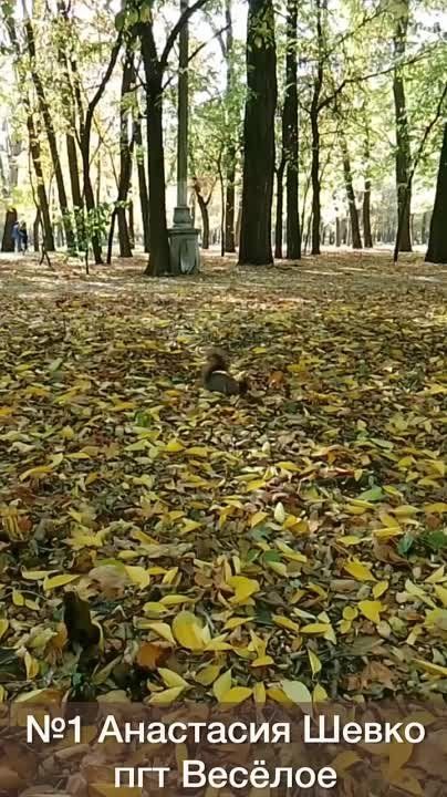 ������ ������: �������: ������ ������� �����