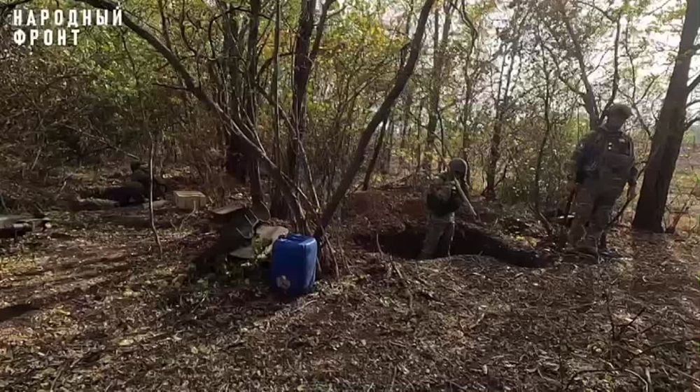 ������ � ���! ������������ �������� ���� ������