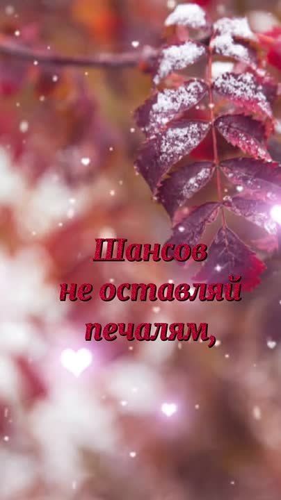 �������� ������� ���� ������� ����