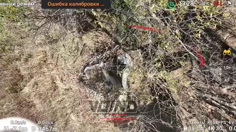 ����� ����������� ��������������� ������ ��� �� ����������� �����������