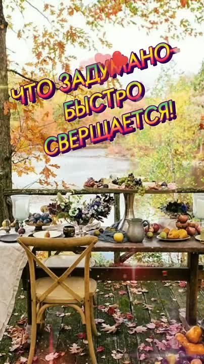 � ������ ��������. ������ ���� ����������� ���