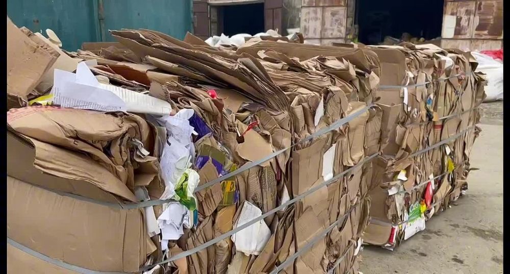 ������ ������: �������, � ����� ��� ��������� ��������, ��� ������� ������������ ���� ���������� �� ����� ��������������� ������