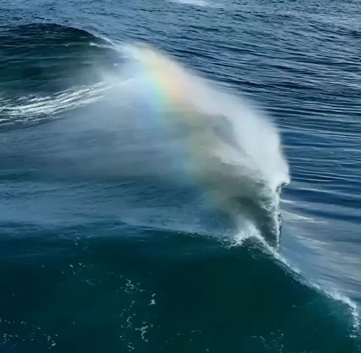 ������� ������ ��������������, ���������� � �����������, � �������� ���������� ����������� �����!