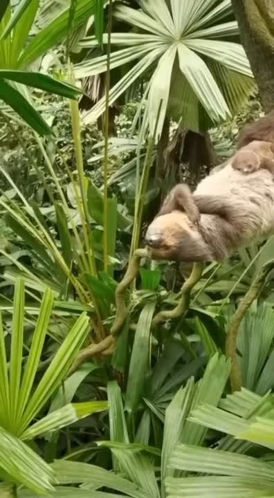 ������� ������ ��������������, ���������� � �����������, � ������ ������� �����!