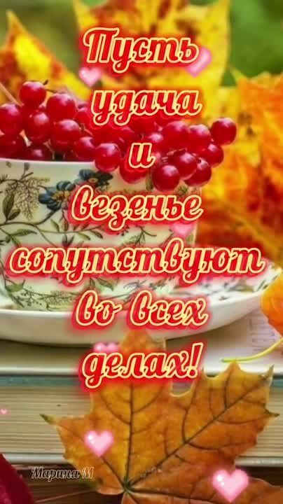 ���� �������, ��� �����������