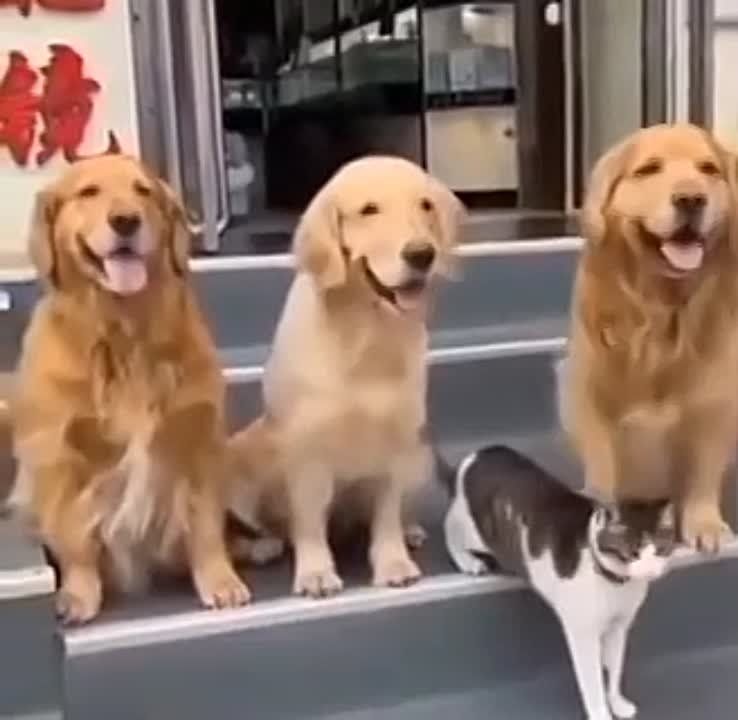 ����������� ���� ���� �� ��������� ��� ����������