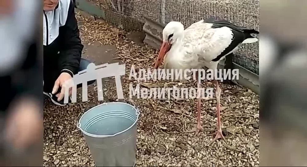 ��������� ��� ���������� ������������� ������ ���� ��������� ���������� � �������� ������������
