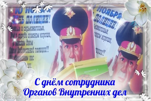 � ����� ������ ���� ����� �������