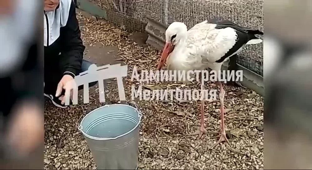 � �������������� ������ ����� � ��������� ������