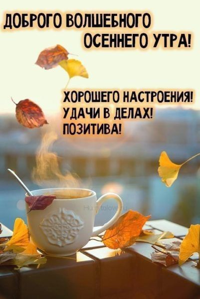 � ������ � �������� ��������