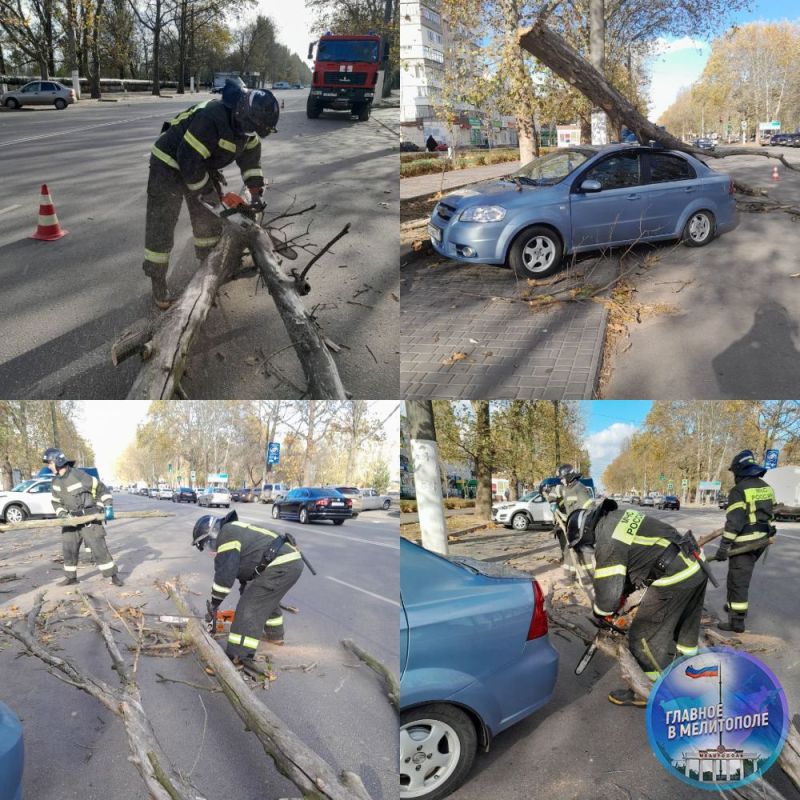 � ����� ������ ������ ����� �� ������