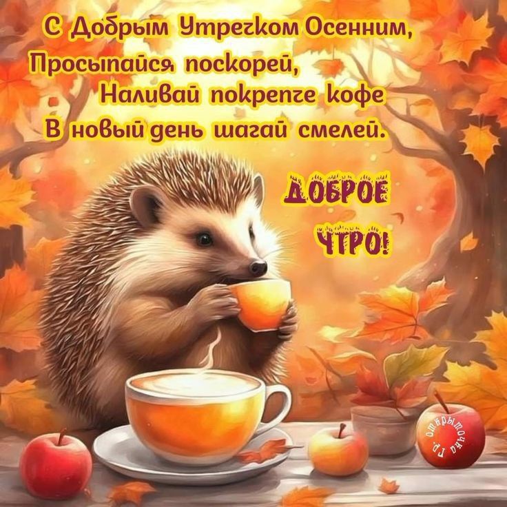 � ������ ��������, �������� ���