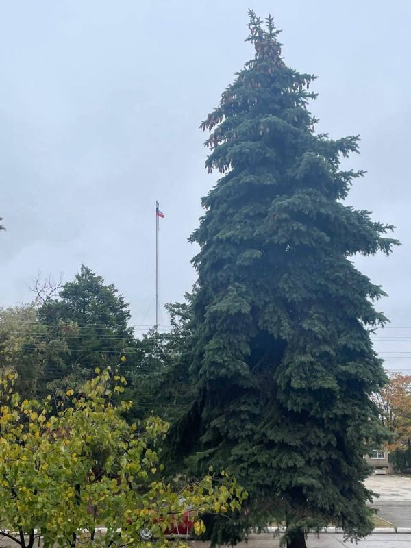 ������� ������ � ����������� ������ �� 13.11.2023