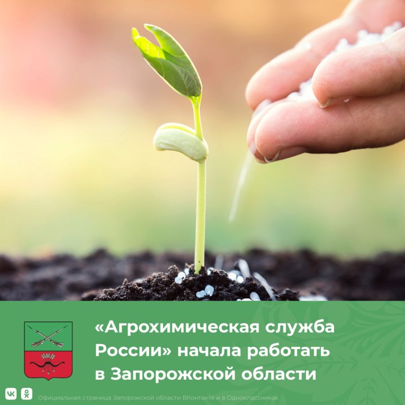 ����������� ��������������� ������ ������ ������� �������� ����������� �������