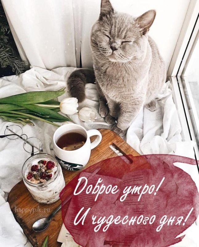 � ������ �����, � ������������� ������� ���! ����� ���� ����� ������, ���������, ����� � ����� ��������