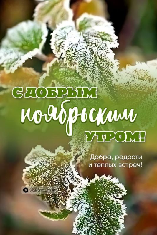������ ����. ��� � ��������, ��������� ��� ����� ������!