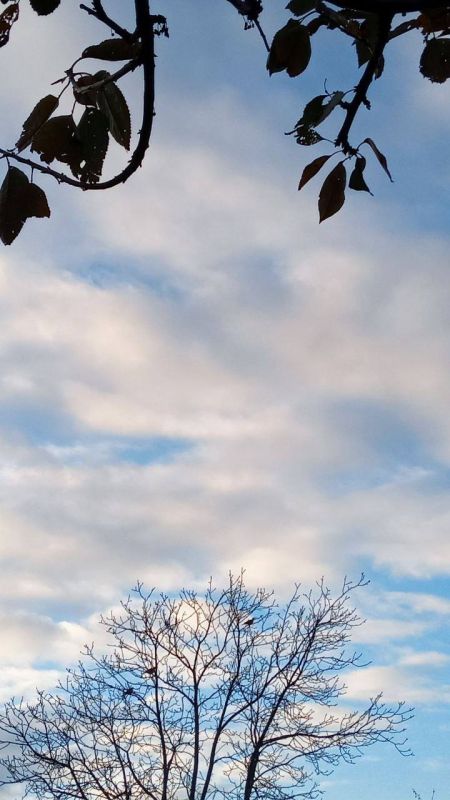 ������ ������: ������ ���� �� ���������� �� ���������� ������!