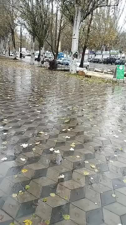 � ���������� ������ �������