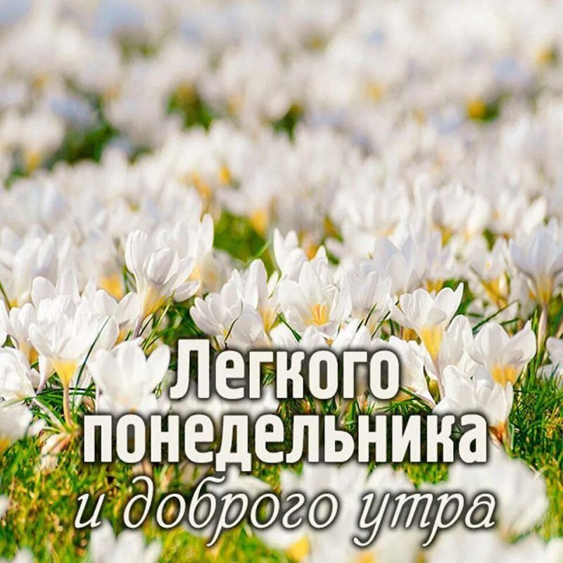 ����� ������ ���������� � �������� � ����������� ����������