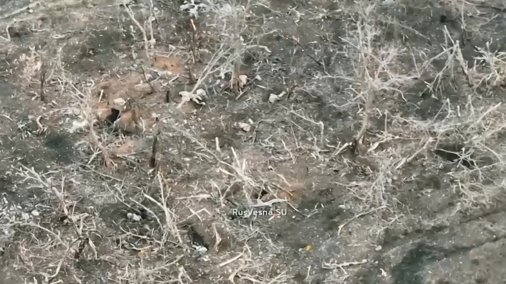 ����� � ������ ��������-��������� ������ ��������� �������������, � ����� � ��������� ������������ �������