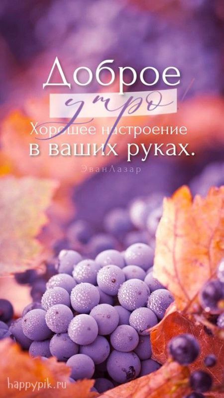 � ������ ��������. �������� ��� ��� � �������������� ����������!