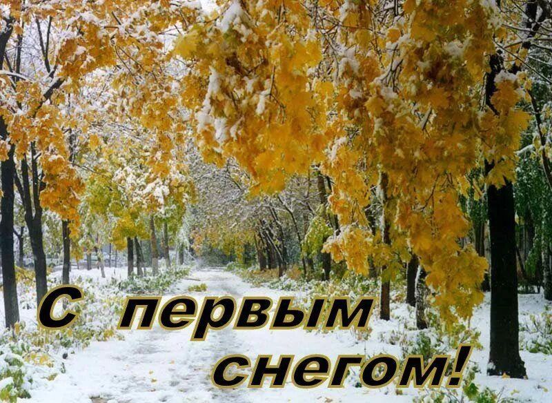 � ������ ������! ����� ������ �������� ������ �� ������ ��� ��������� �������