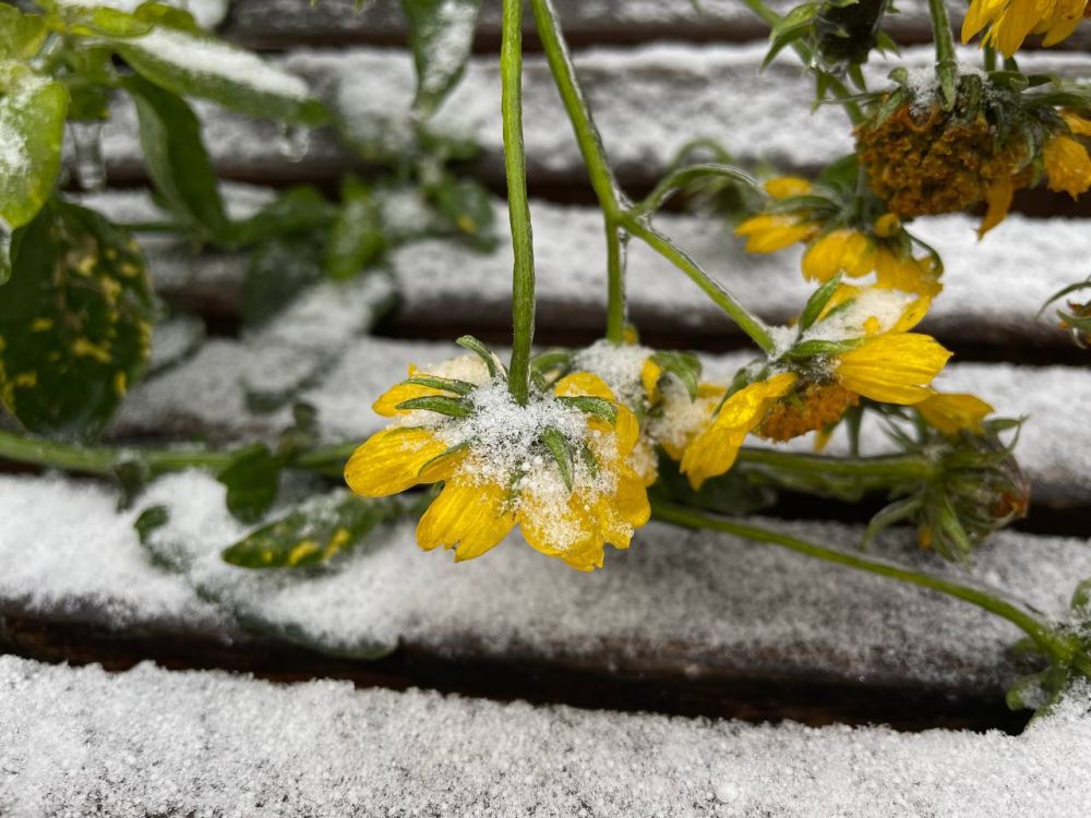 ������ ������: ��������� ���� � ����������!