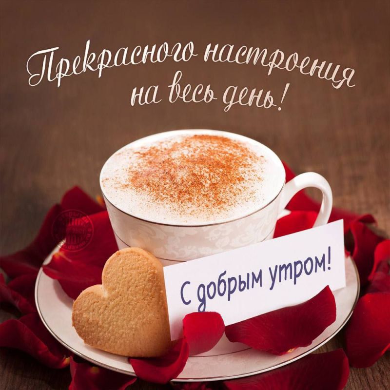 � ������ ��������