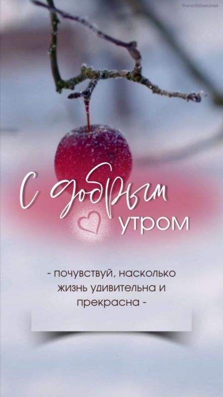���� �������, ���������� �����������