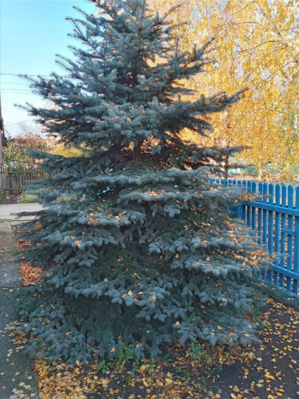 ������� ������ � ����������� ������ �� 27.11.2023