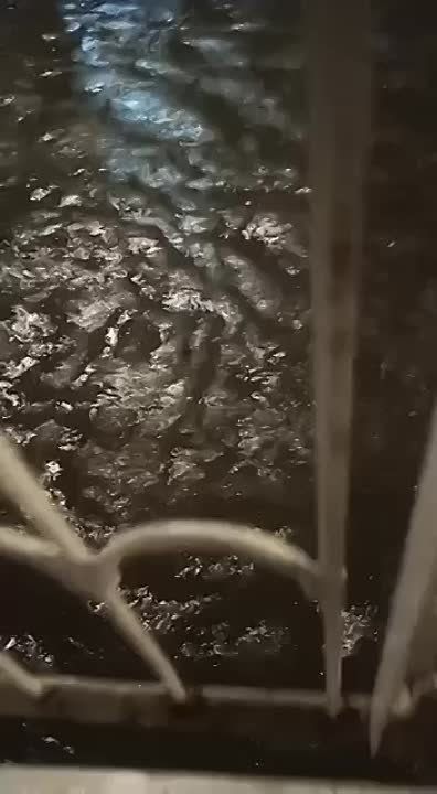 ����������� ������� ������ � ���������