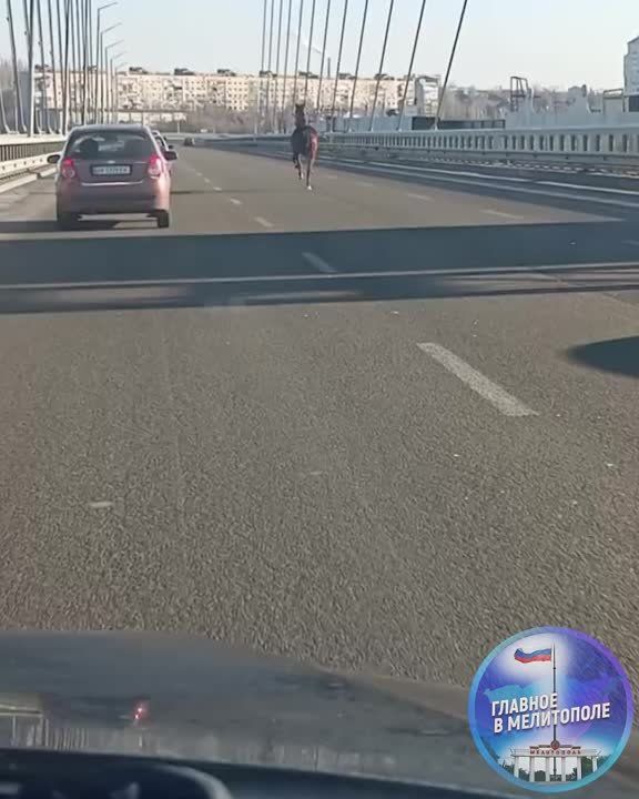 ��-�� ������������� ������� ������ ������ ��������� ������������ � ���������� XIX ����