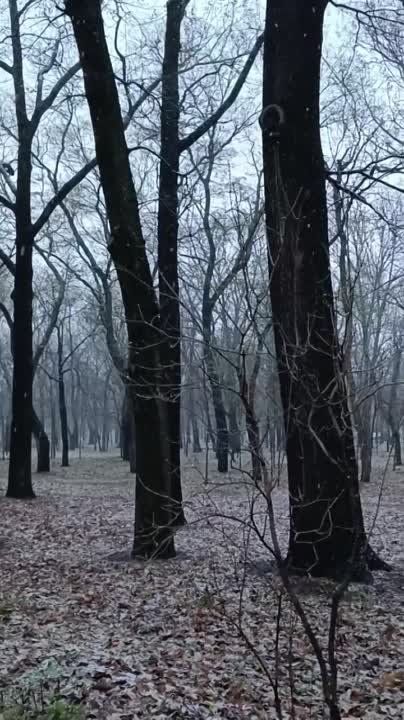 � ���������� ���� �������� �� ���������