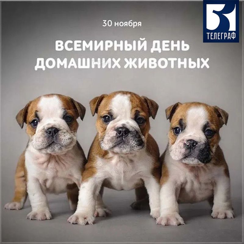 30 ������ � ��������� ���� �������� ��������