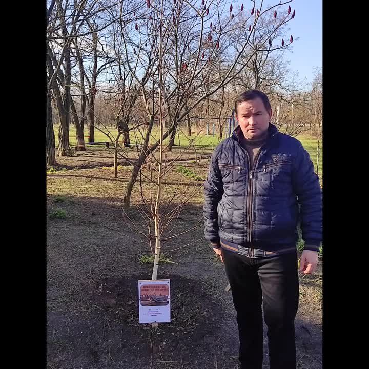 3 ������� ���������� ���� ������ ������������ �������