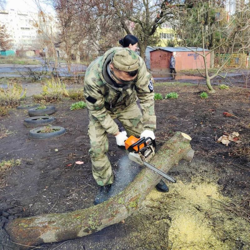 Народное ополчение помогает коммунальщикам ликвидировать последствия урагана