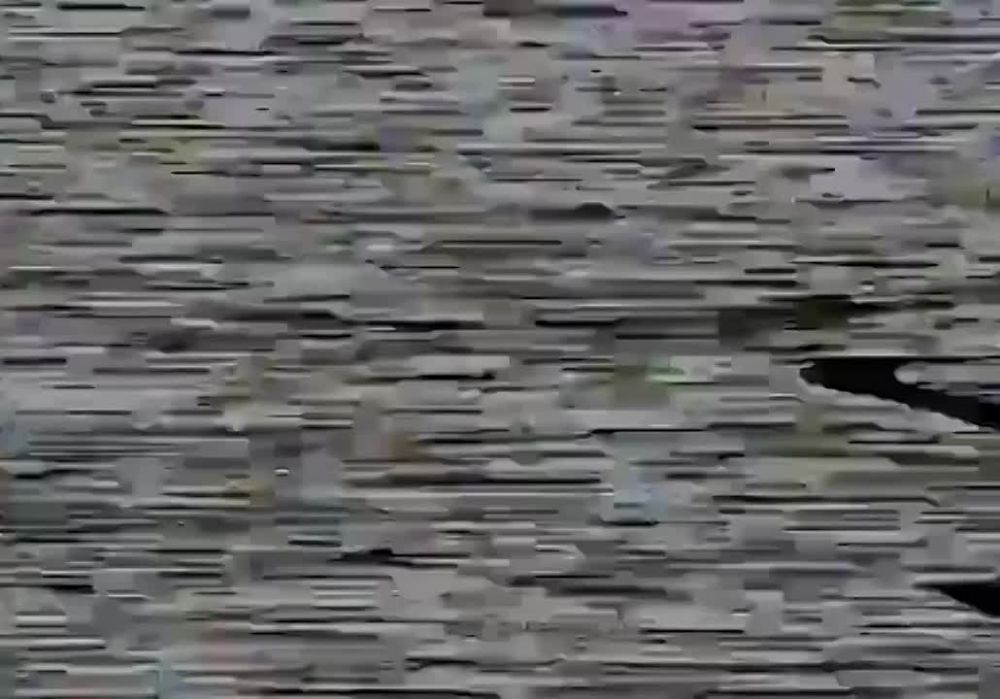 ���������� ������� ���������� ���� ��� �Leopard 2A4� � ������ ��������