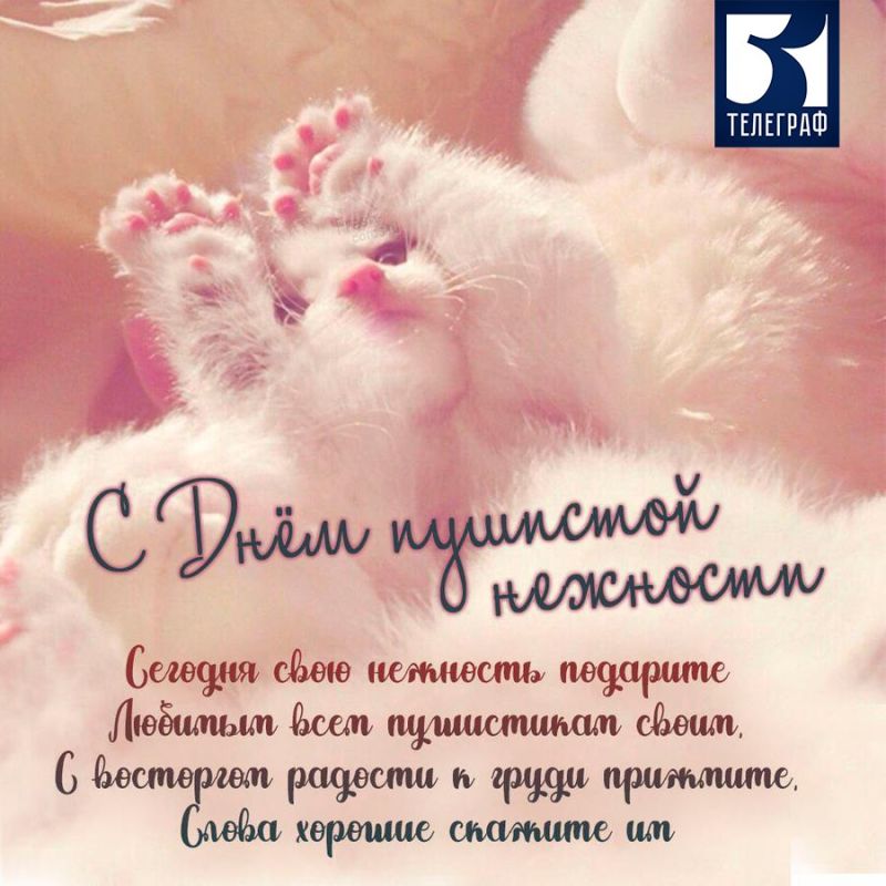 2 ������� - ���� �������� ��������