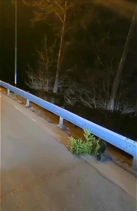 ������ ������, ������� � ������ ��� ������� ���������� ��� �������, ����� ����������